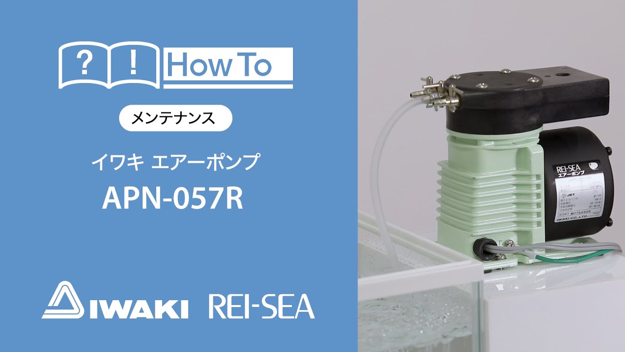 イワキ レイシー】P-425V たて型ポンプ 動作確認済み 使用期間1年 イワキ