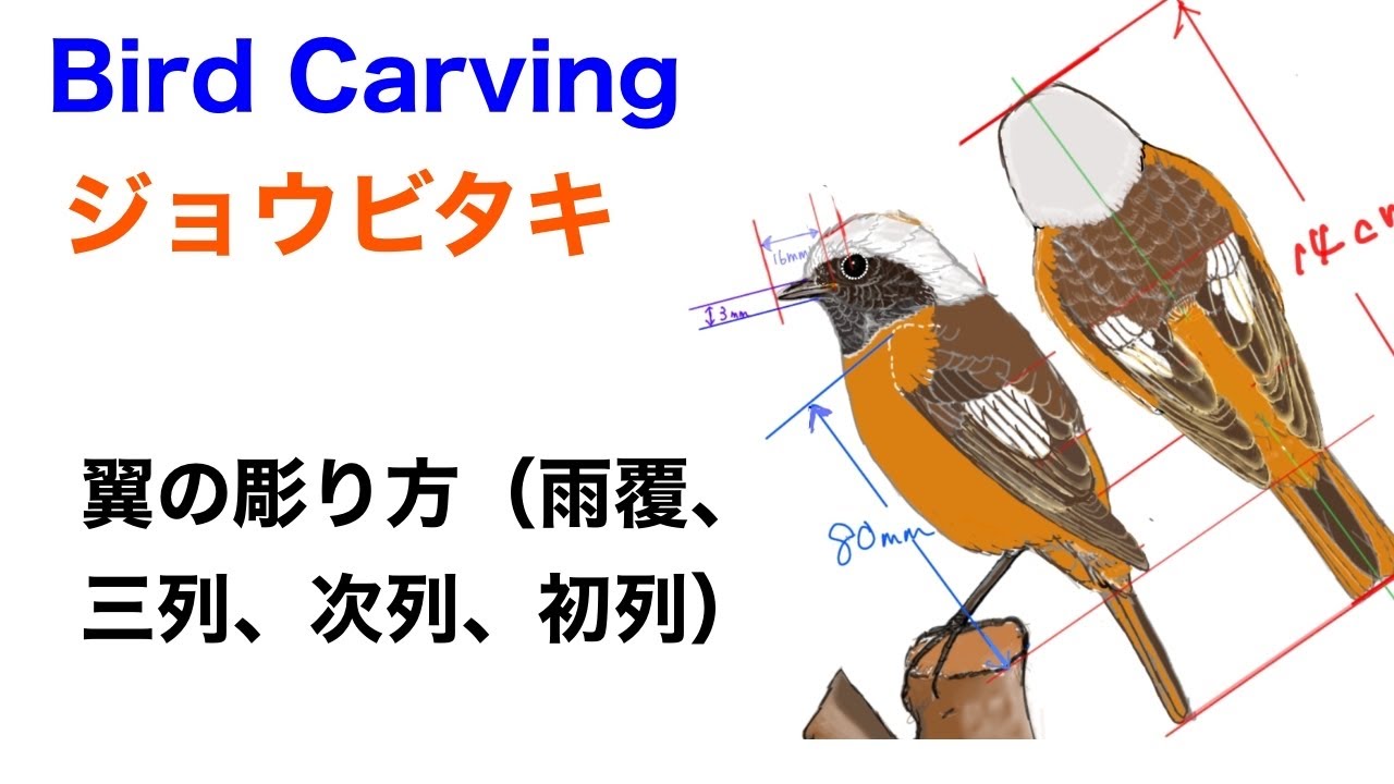 バードカービング（Birdcarving）ジョウビタキ3 翼の彫り方（雨覆、三