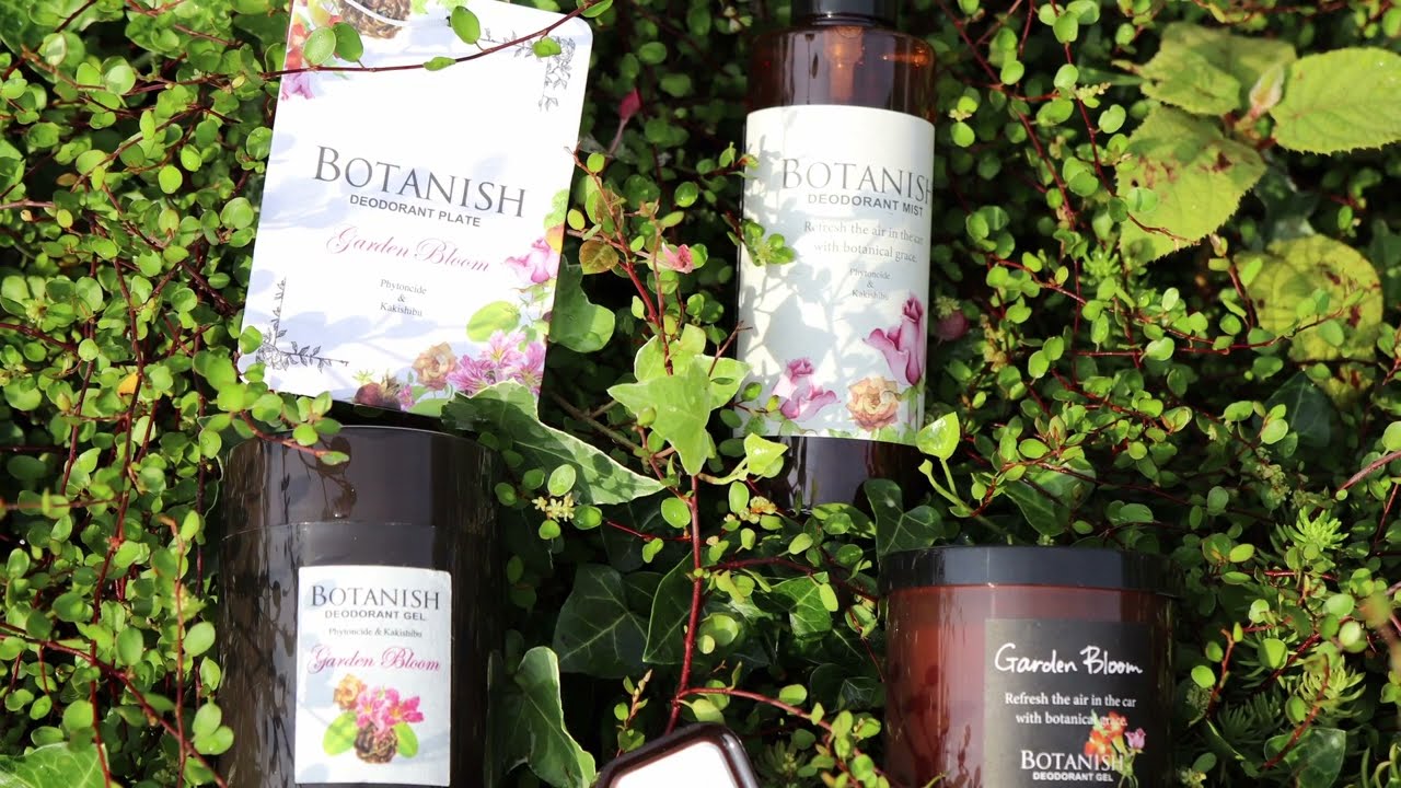 ビオドラガ エアステリニエ 24Hクリーム 2箱(1セット) 三基商事 ミキ