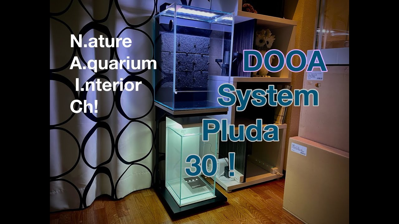 DOOA SYSTEM PLUDA 30 SET UP! #パルダリウム - YouTube