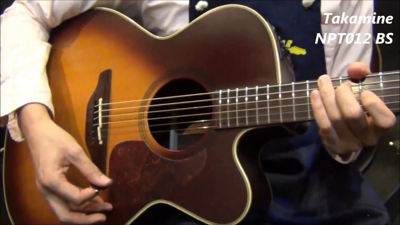 オットリーヤ動画】Takamine NPT-012 BS - YouTube