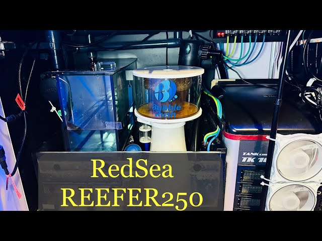 We'll show you everything inside the carefully crafted sump