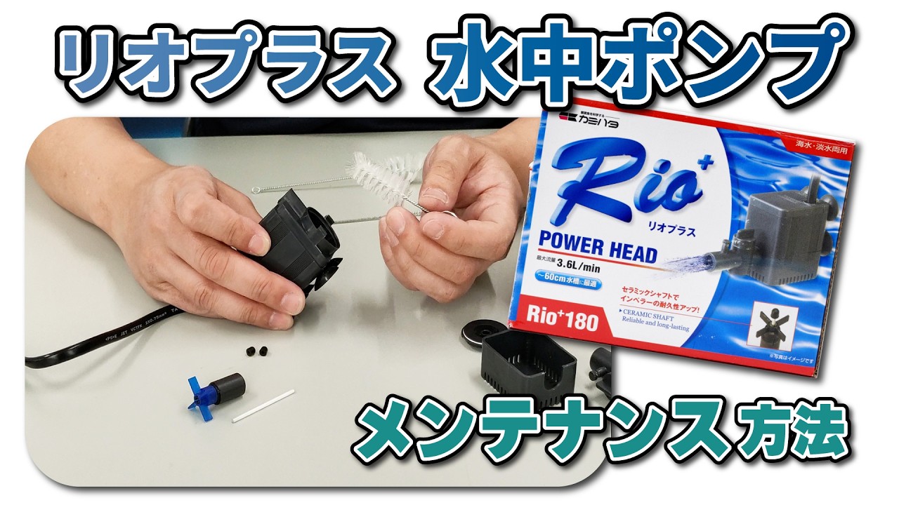 リオプラス フィルターセット：Rioシリーズ ～神畑養魚株式会社～