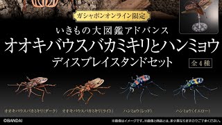 Complete unboxing video of the online version of the 