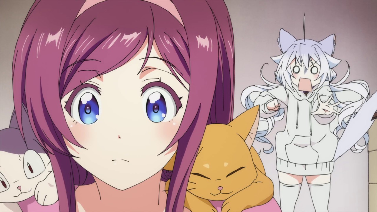 猫娘症候群(カトルスシンドローム)4 サイン入り 猫娘症候群(かとるす