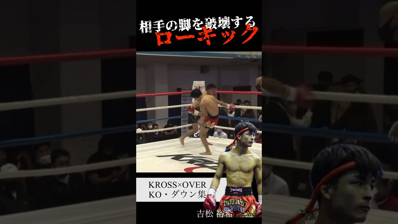 MUAY THAIメーカー太ももパッド ローキック、キックボクシング 新品