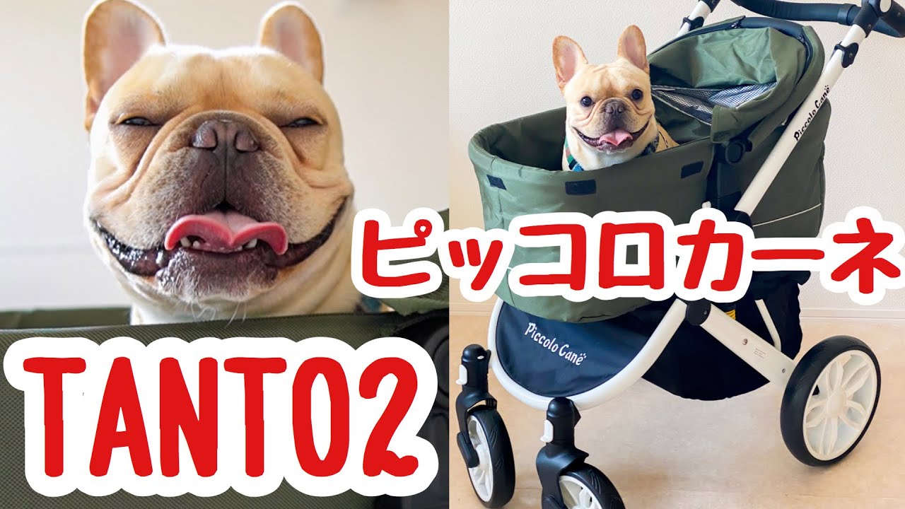 Rakuten Sale Purchase] Long-awaited buggy debut for Luke the