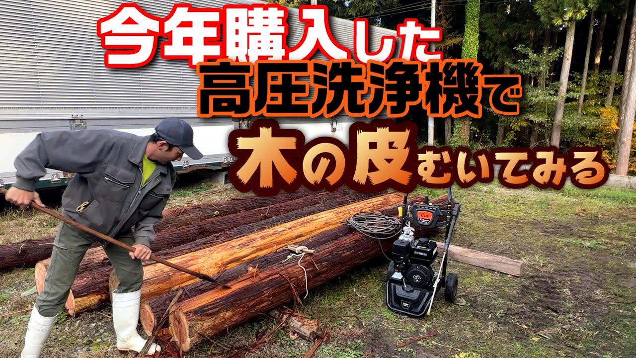 We brought wood from the mountains and peeled it with a high