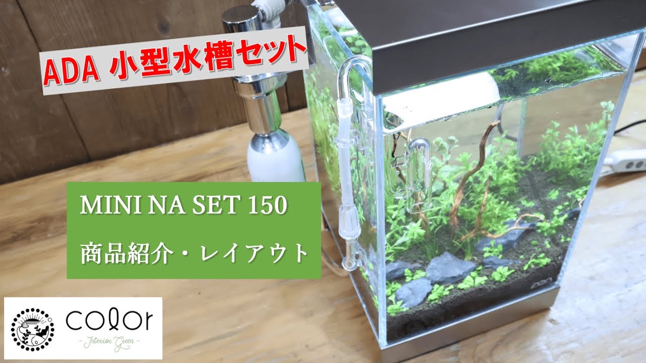 商品紹介 制作】ADA小型水槽セット MINI NA SET 150 - YouTube