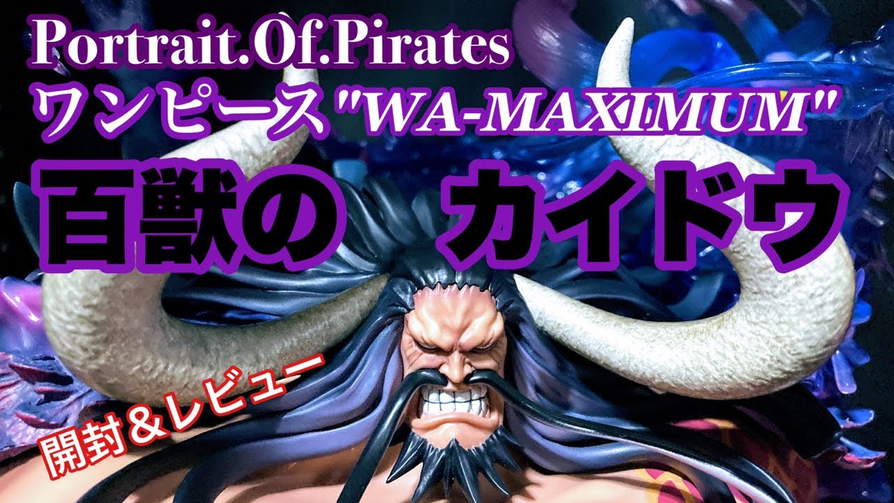 Portrait.Of.Pirates POP ワンピース 