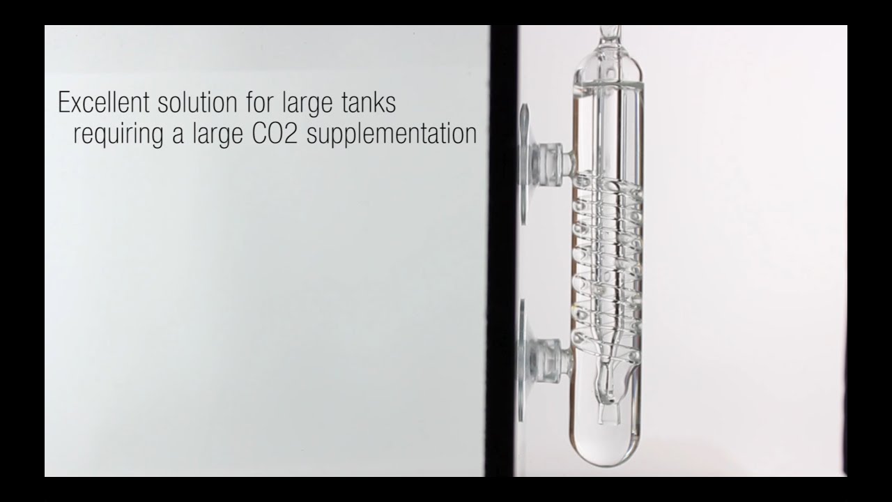 Glass Beetle CO2 Bubble Counter - YouTube