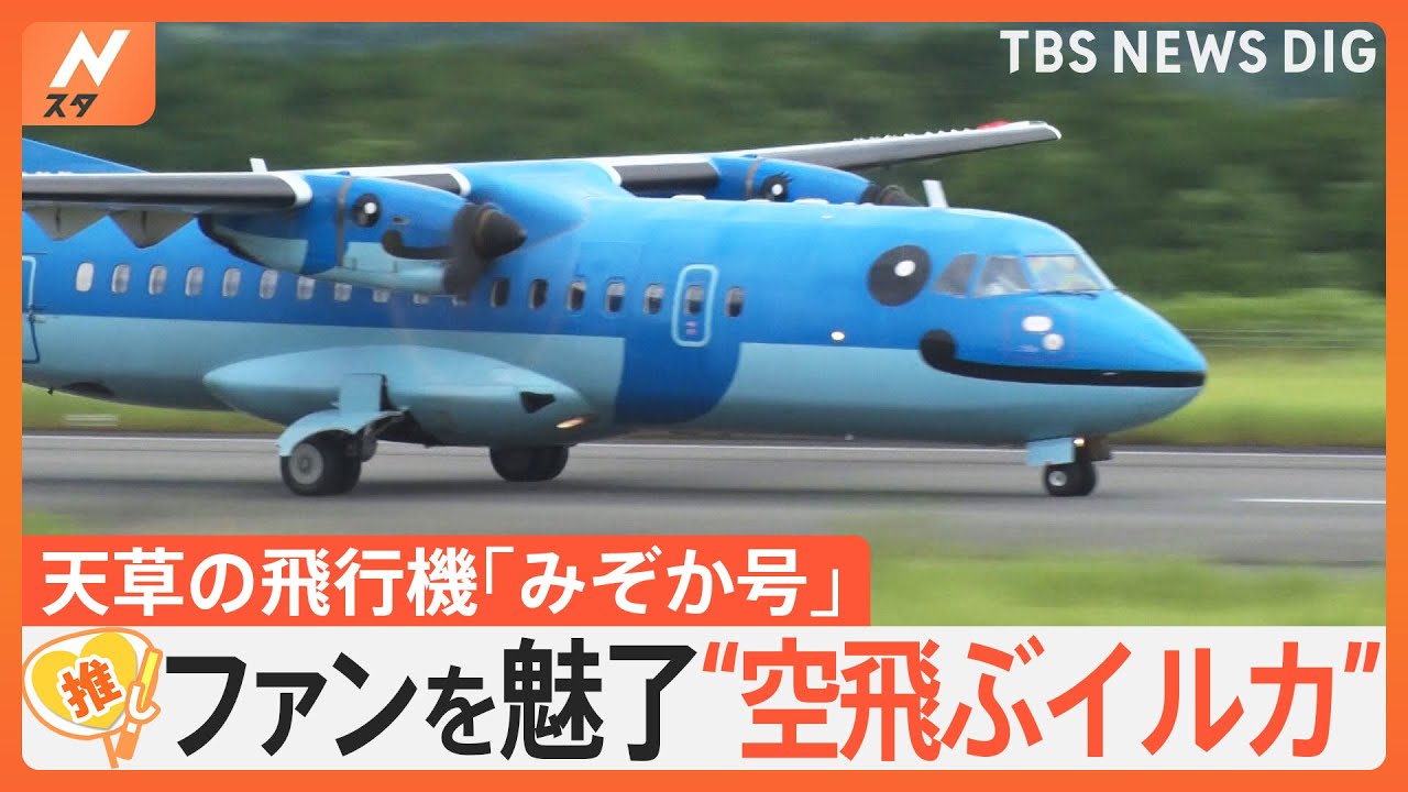 空飛ぶイルカ”が大人気！熊本・天草発の飛行機「みぞか号」 根強い