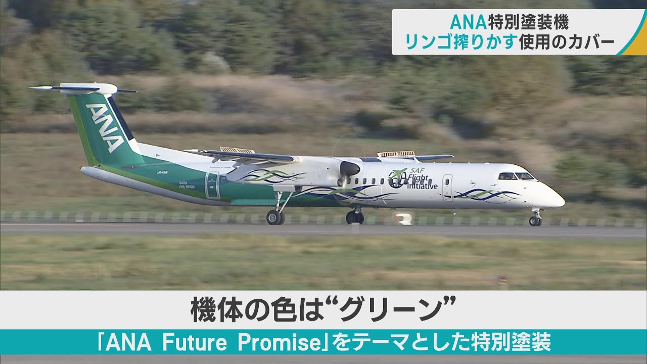 ANA特別塗装機」初号機が青森空港に 「リンゴ搾りかす」のカバーなど