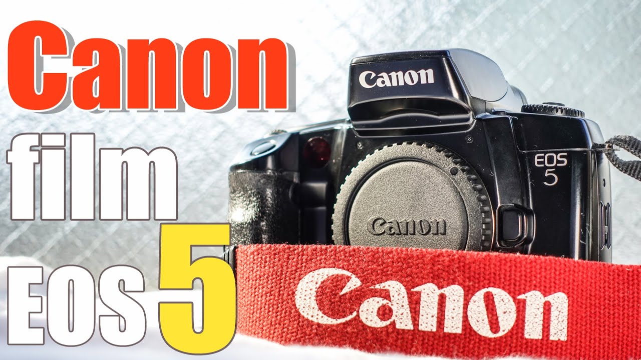 ⌘完動品！ 作例あり 電池付き！Canon EOS 55 ズームレンズセット