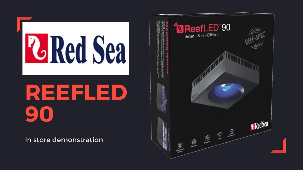RedSea LED 90 - SNEAK PEEK! - YouTube
