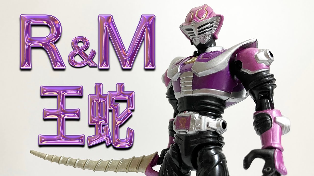 仮面の魂 エボル スネークビジョン王蛇 各3枚 スネークビジョン(仮面