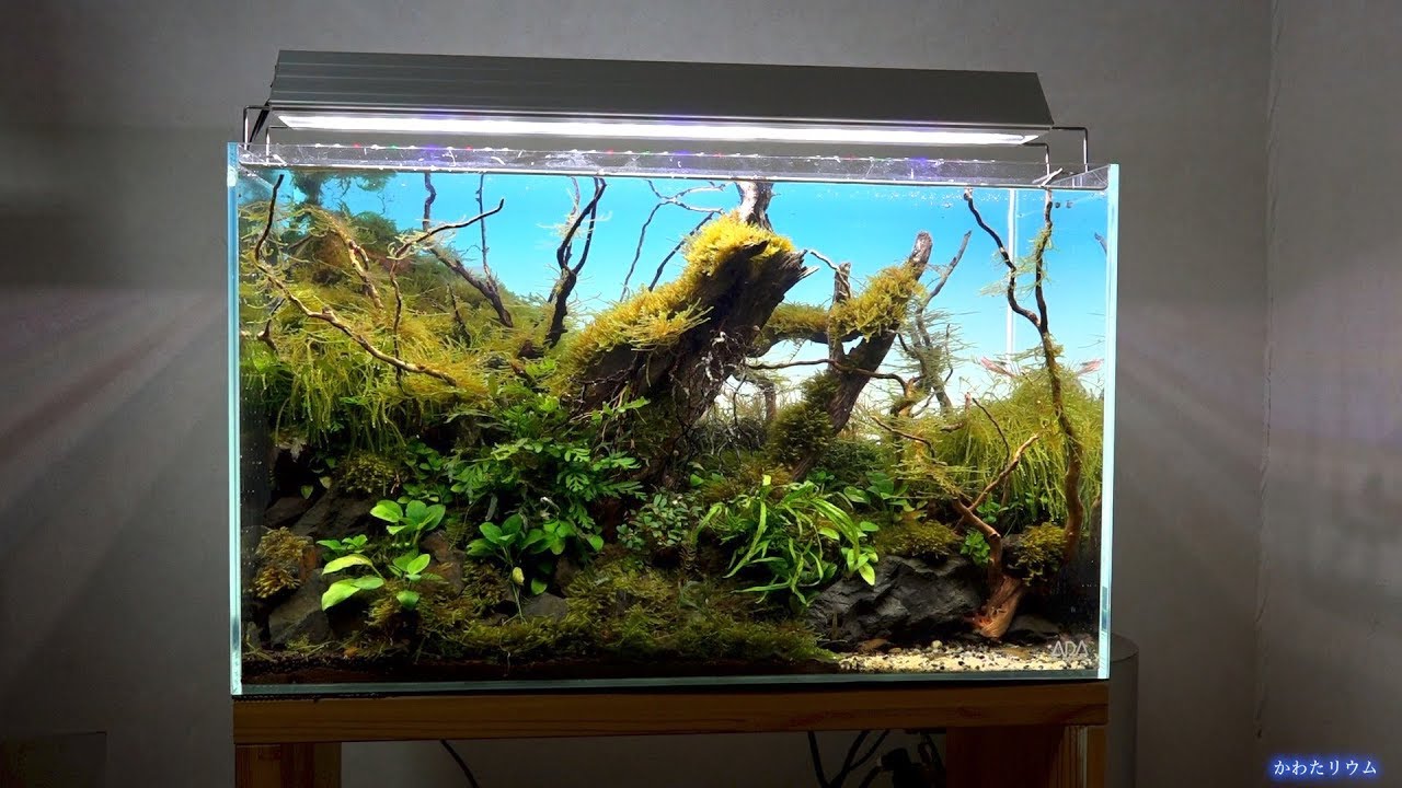 ダ*マ様 【ADA】ライトスクリーン60×30 ADA NATURE AQUARIUM バック