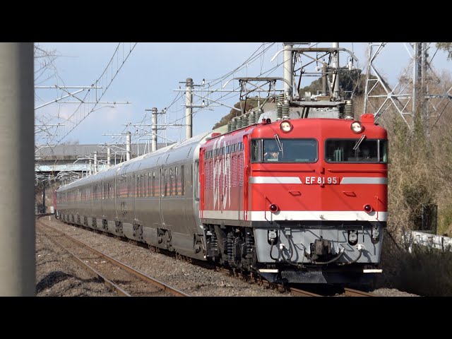 EF81 80+E26系12両+EF81 95 団臨「カシオペア紀行（土浦行き）」2025.2