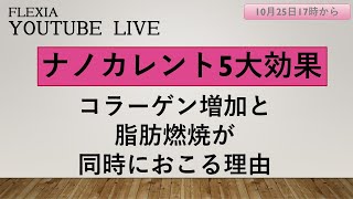 セルクリスタル バストアップ 細胞活性化 ナノカレント エステ