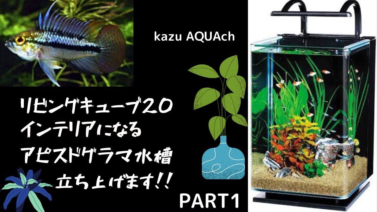 アクアリウム】リビングキューブ20 インテリアになるレイアウト水槽