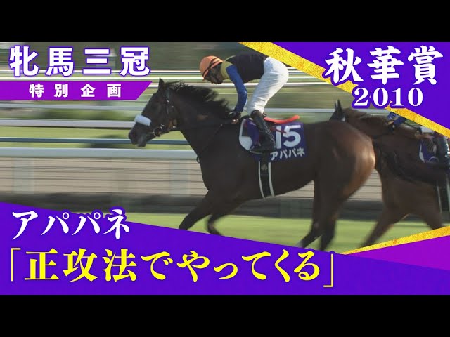 2010 Shuka Sho (GⅠ) | Apapane | JRA Official - YouTube