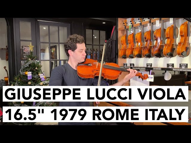 Giuseppe Lucci Viola 16.5