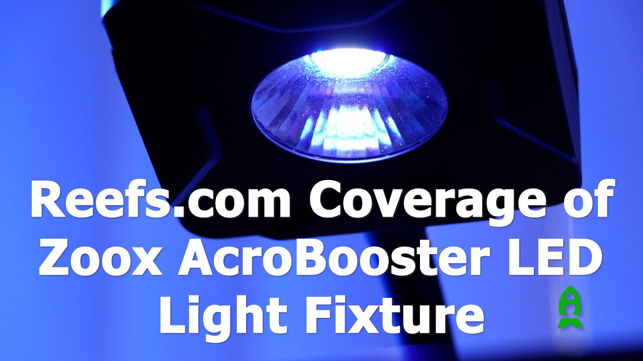 Reefs.com Coverage of Zoox Acrobooster LED lights - YouTube