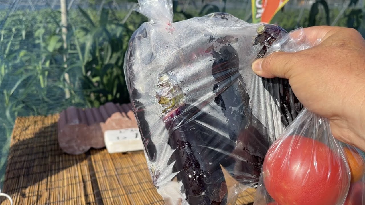 An unmanned, extremely cheap vegetable stand in a field 21/7/25