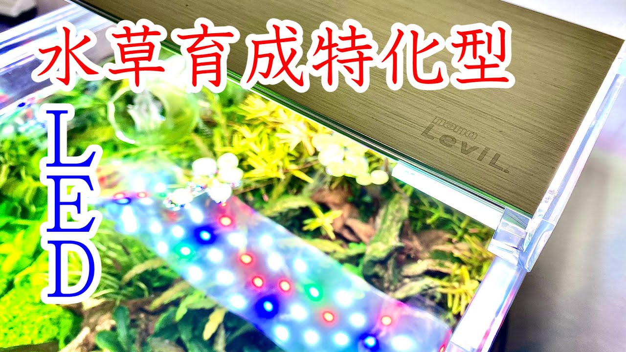 アクアリウム】ナノレビルというLED照明を使ってみた！ - YouTube