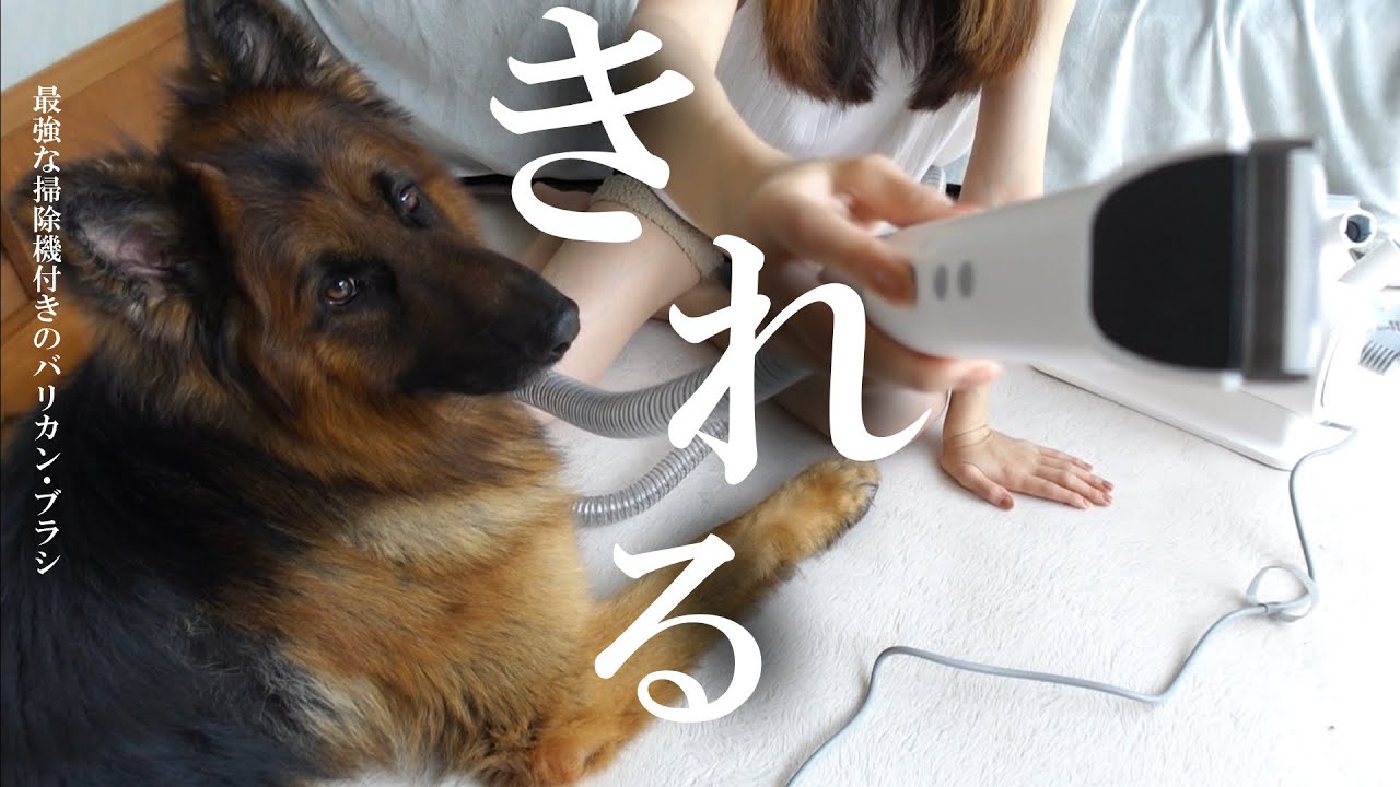 homérunpet ペットグルーミングキット E*I様 runpet PET ペット