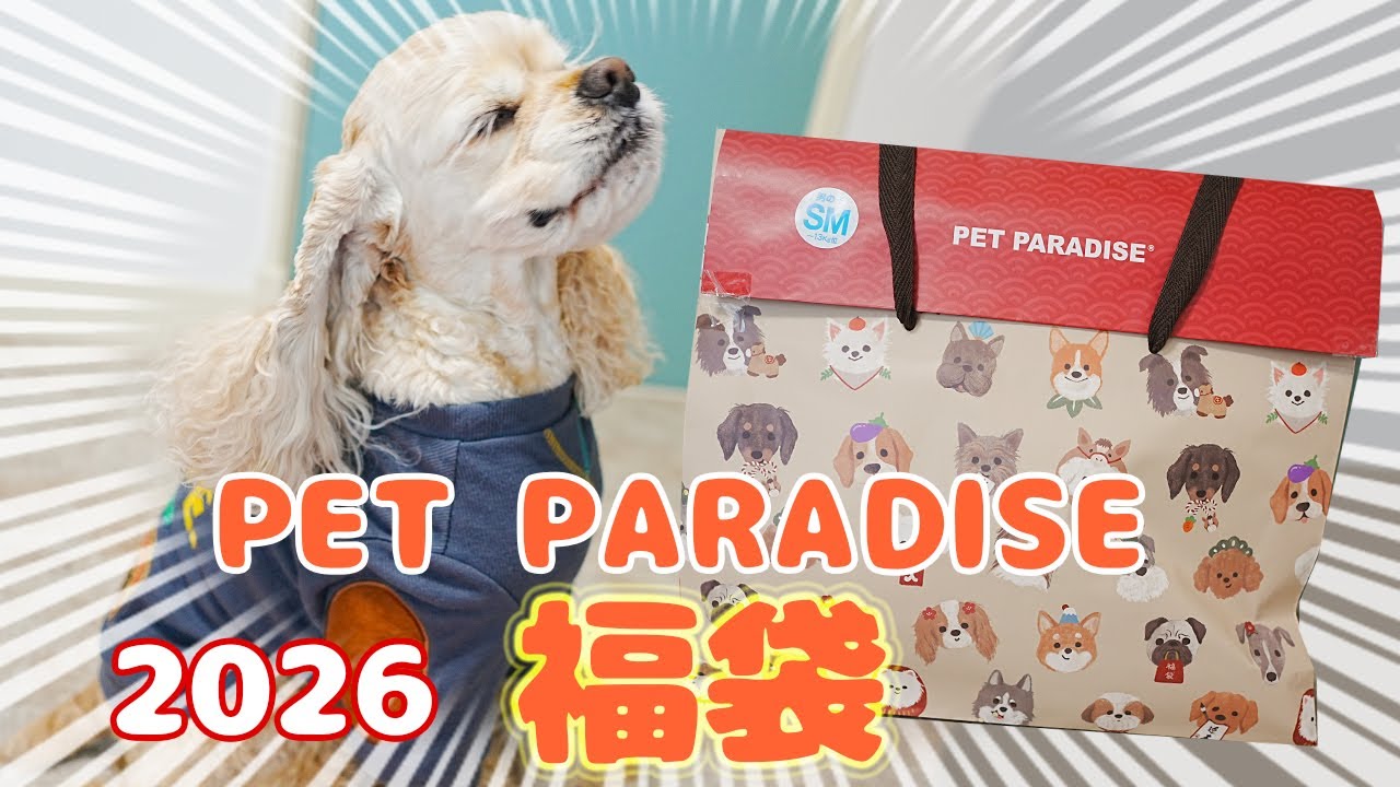 2026 Lucky Bag] The Pet Paradise Lucky Bag that sold out