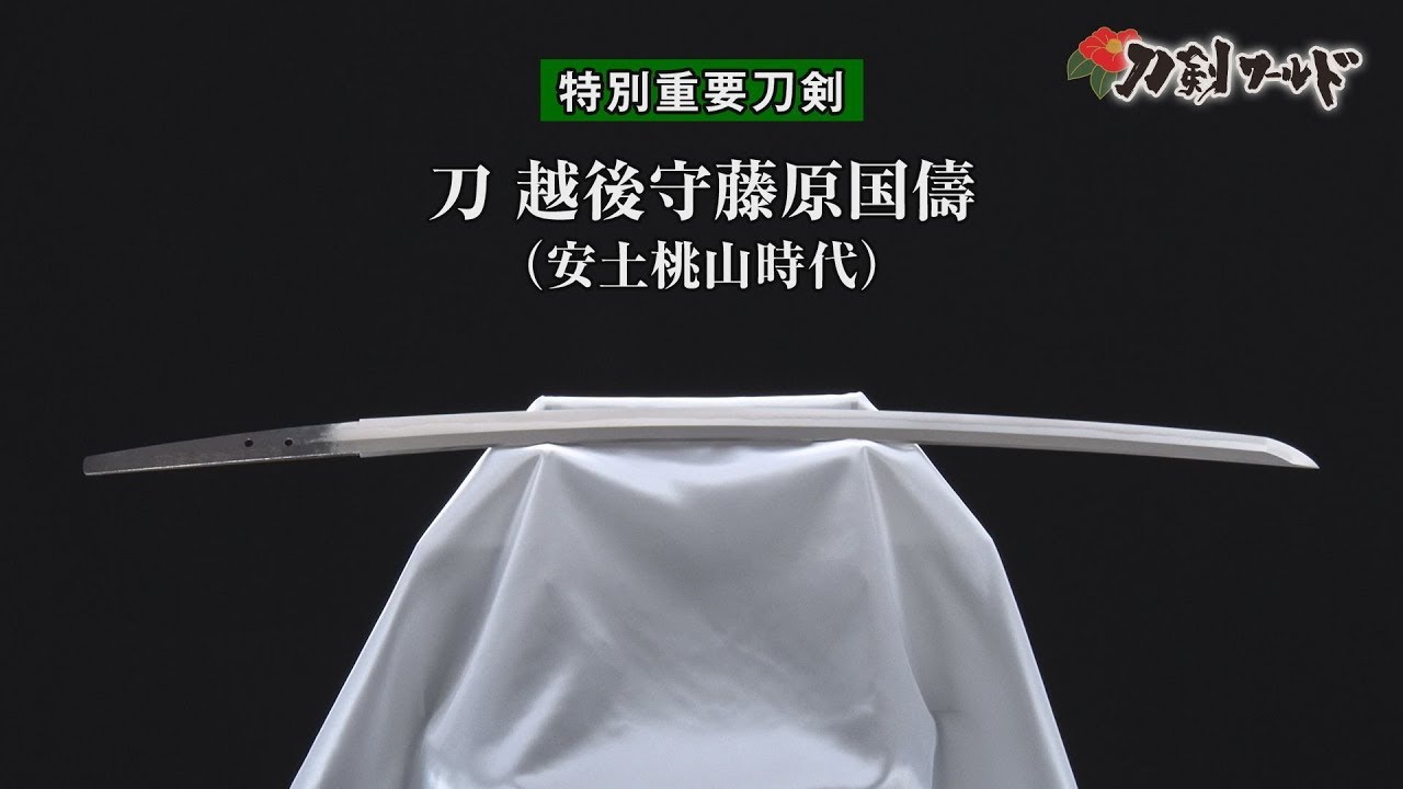 Katana long sword, with the inscription “Echigo no kami Fujiwara
