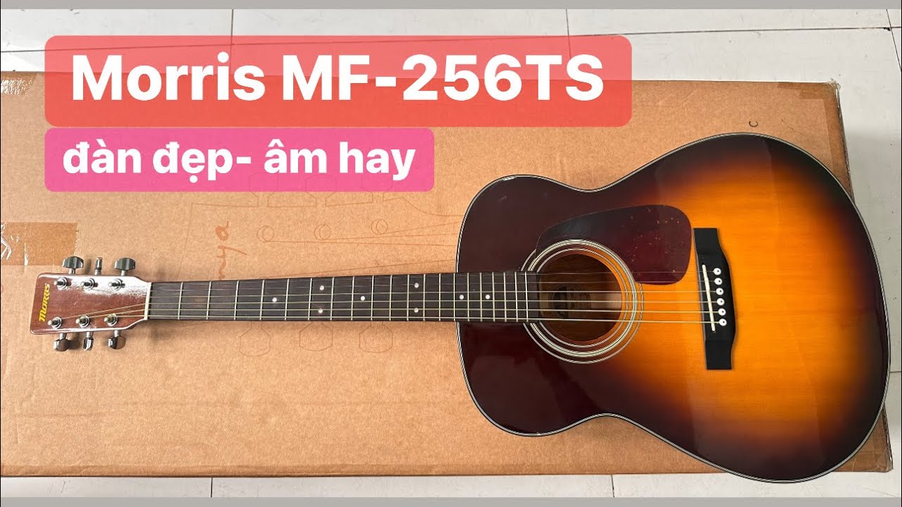 Morris エレアコギター MF-256TSサンバースト Morris