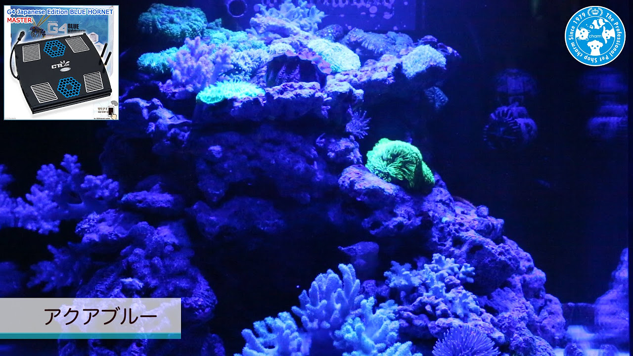 LECOLT PRO M44 サンゴ照明 【公式通販】