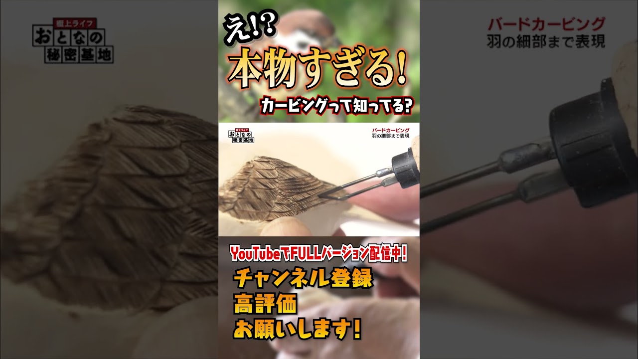 バードカービング ハクトウワシ（リアルサイズ） バードカービング