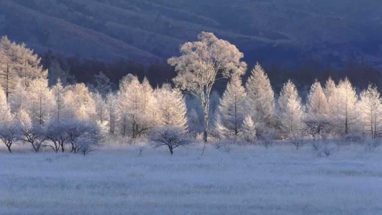 油彩 日光戦場ヶ原の貴婦人 栃木の本気（その3）奥日光の紅葉