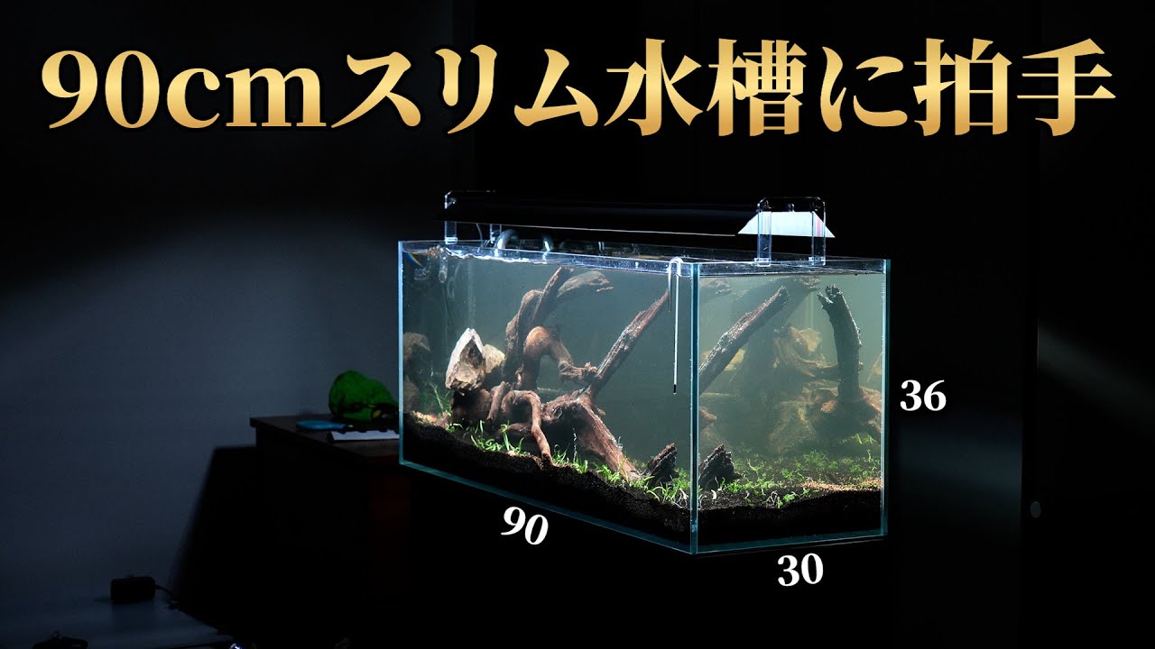 おりゆい様】ADA 90cm水槽 おりゆい様】ADA 90cm水槽 NA SYSTEM 「水景の