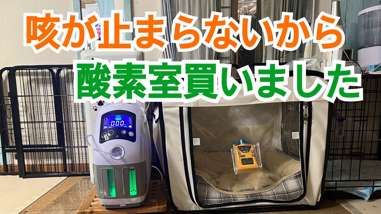 ペット用酸素室 ペットオキシホテル スクエア Mサイズ 60×90×60cm 小