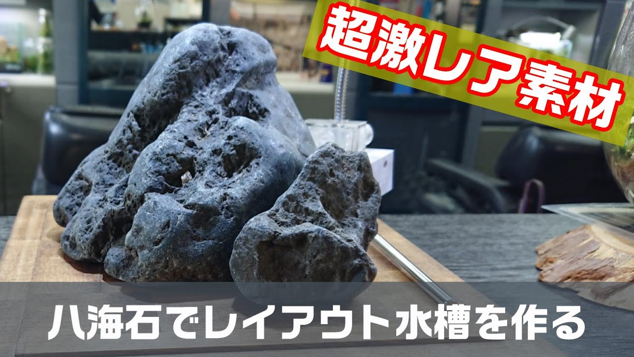 八海石 天然黒石 6個セット 水槽用レイアウト 14kg 八海石 天然黒石 6