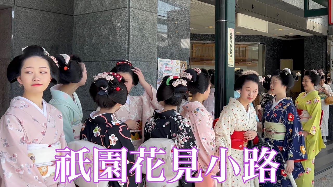 値下祇園京都オープニング・ピンブラック等5点セット【花街・舞妓