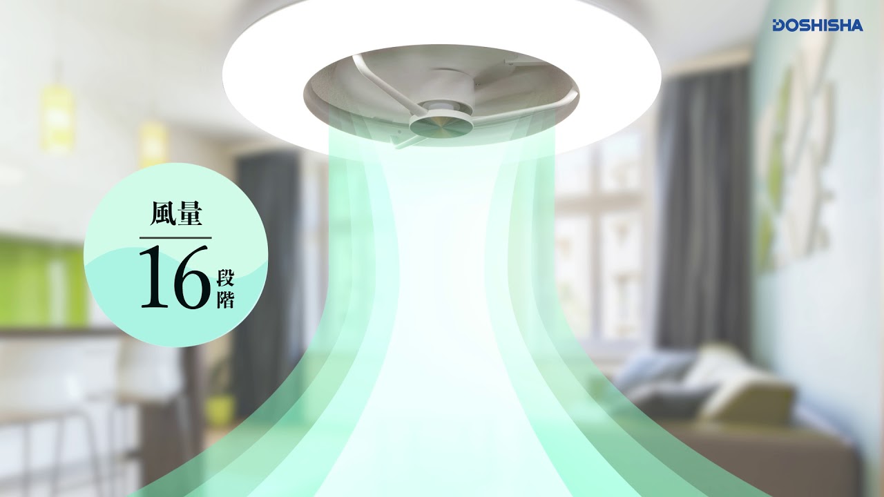 ドウシシャ DCC-08CM 価格比較 - 価格.com