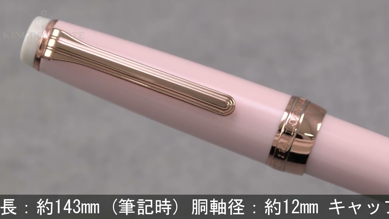 SAILOR セーラー 万年筆 うさぎやオリジナル プロフェッショナルギア