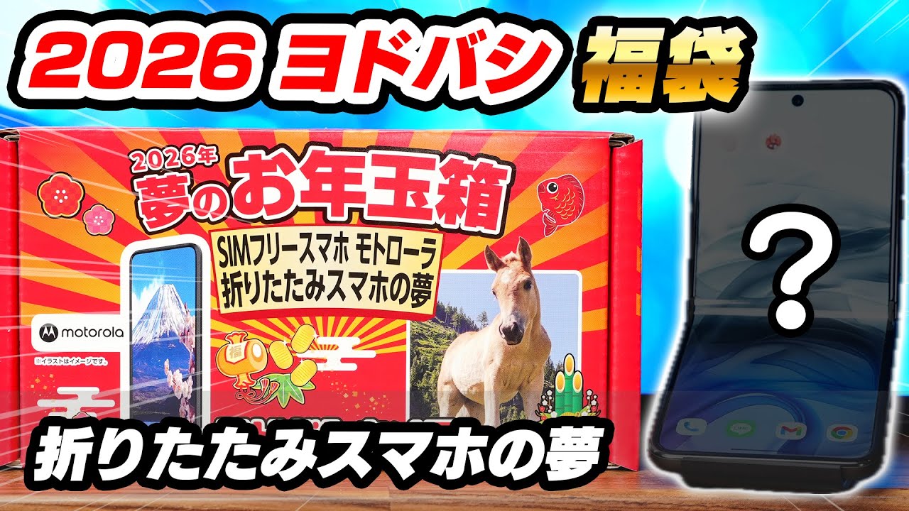 ヨドバシカメラ 夢のお年玉箱 SIMフリースマホ モトローラ 6.7インチの