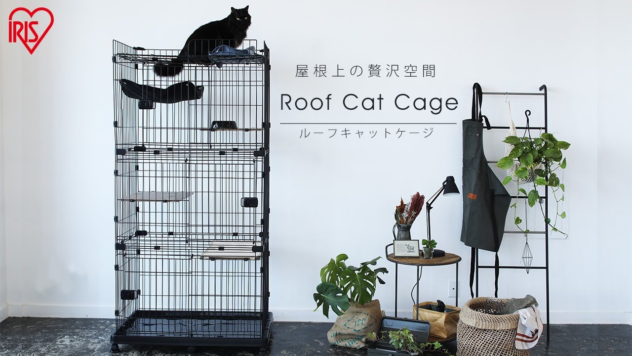 ルーフキャットケージ RFC-904 組み立てver - YouTube