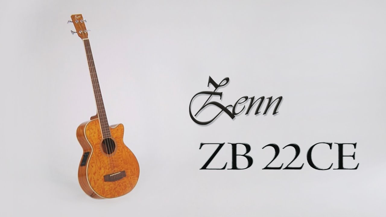 ZENN アコースティックベース フレットレスZB22CE-FL ソフトケース付