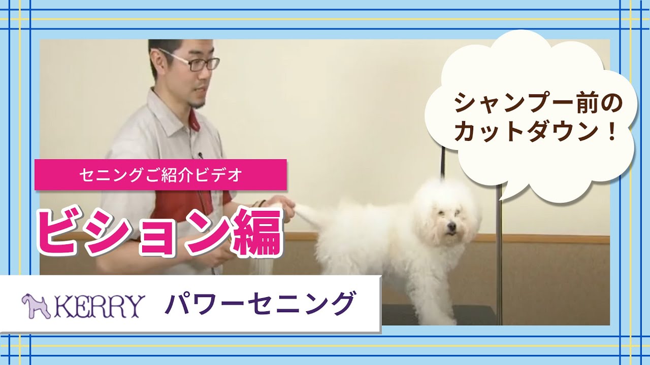 ケリー パワーセニング 7.0-24-30*【アウトレット】 - ワンクス