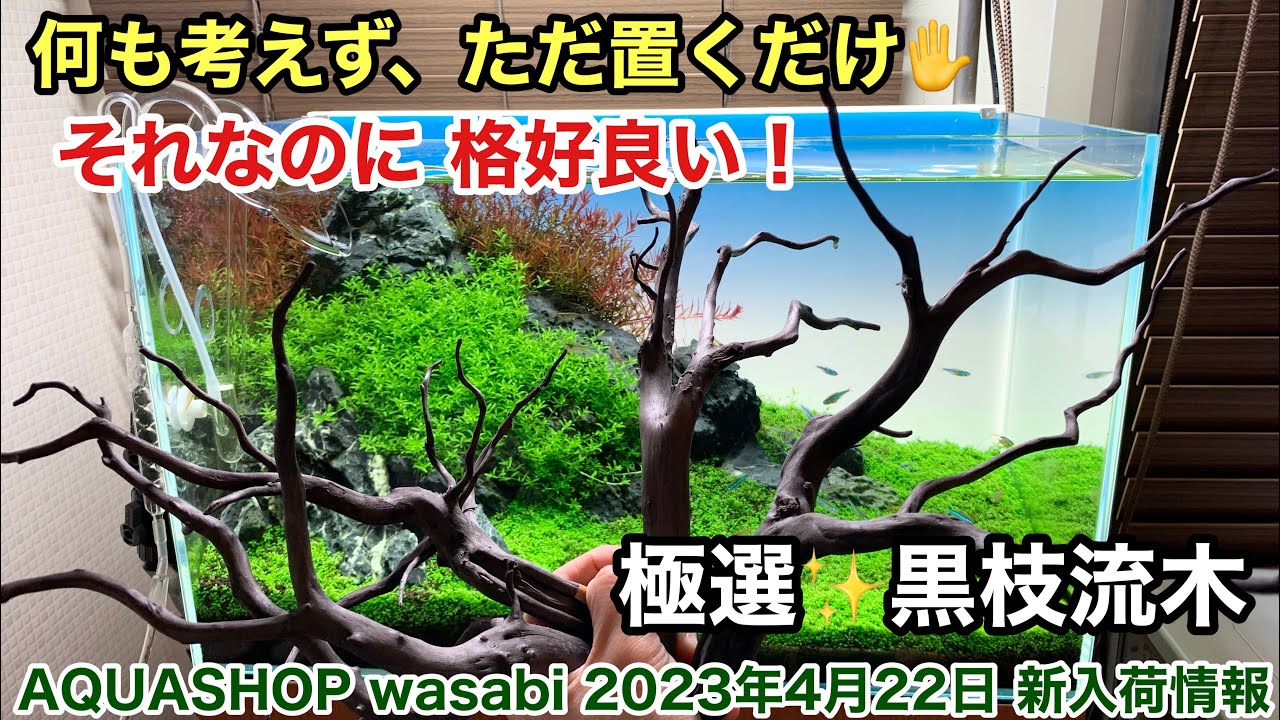 MDW-6678 ブランチウッドレイアウトセット 90cm水槽用流木