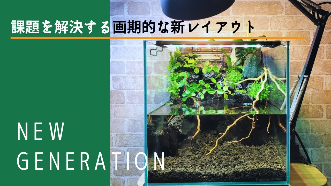 アクアテラリウム】作り方・メンテナンスも簡単な新発想レイアウト