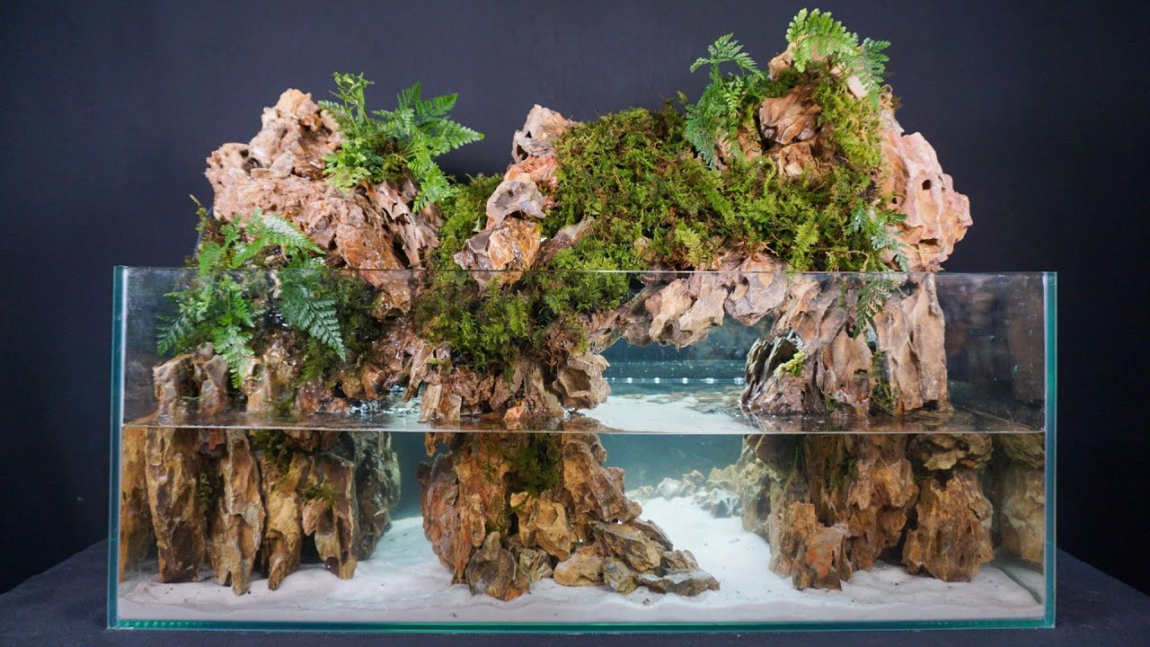 ジャングルの洞窟アクアテラリウムを立ち上げてみた - YouTube