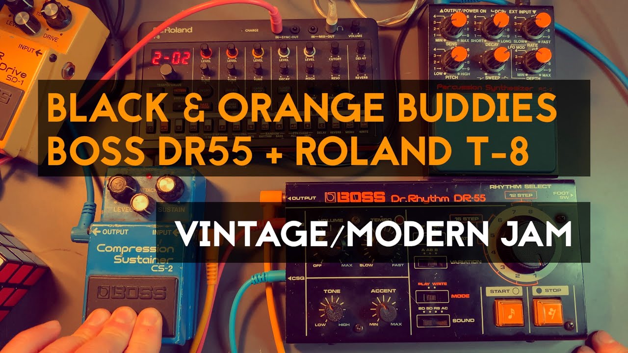 DTM・DAW Roland Dr.Rythm DR-55 BOSS DR-55 Dr. Rhythm | Vintage